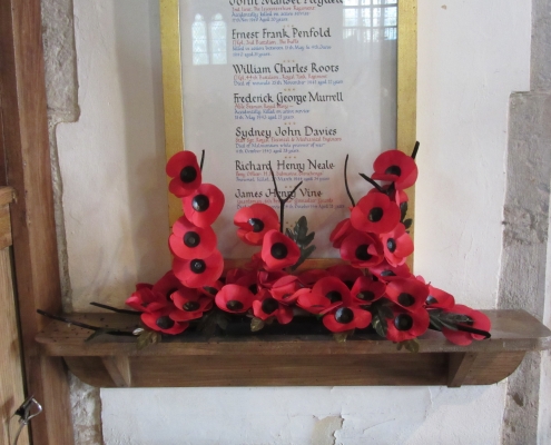 fallen-poppies