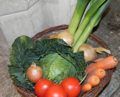 harvest1