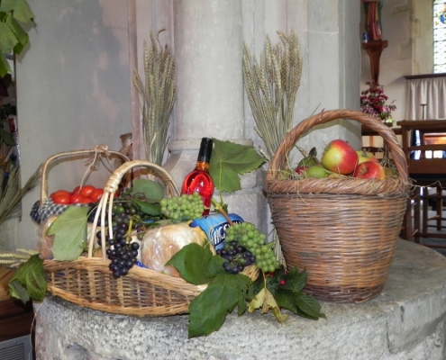 harvest3