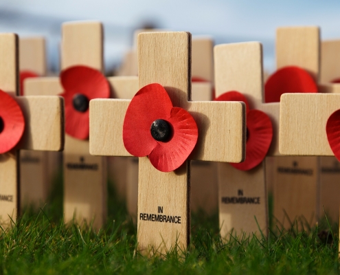 poppies-crosses